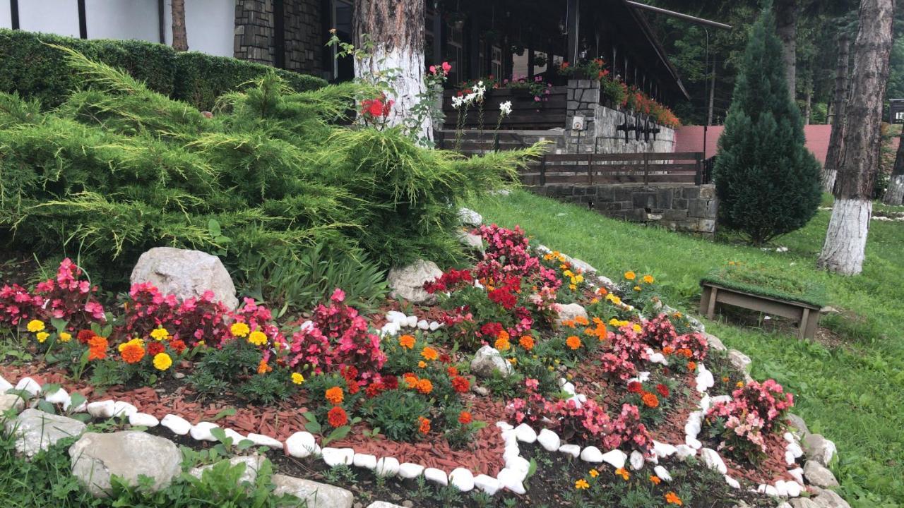 Hanul Izvorul Rece Sinaia Buitenkant foto